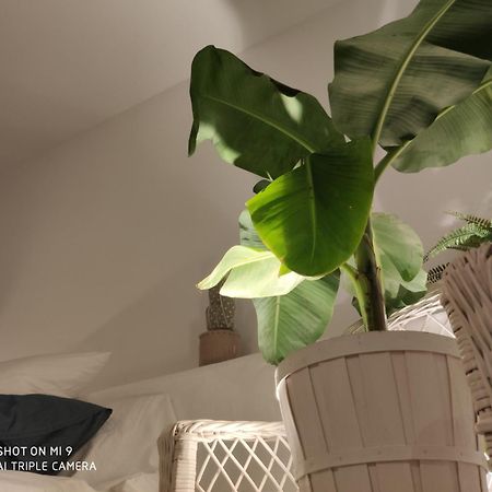 The Best In The Center Of Tarifa Apartment Luaran gambar