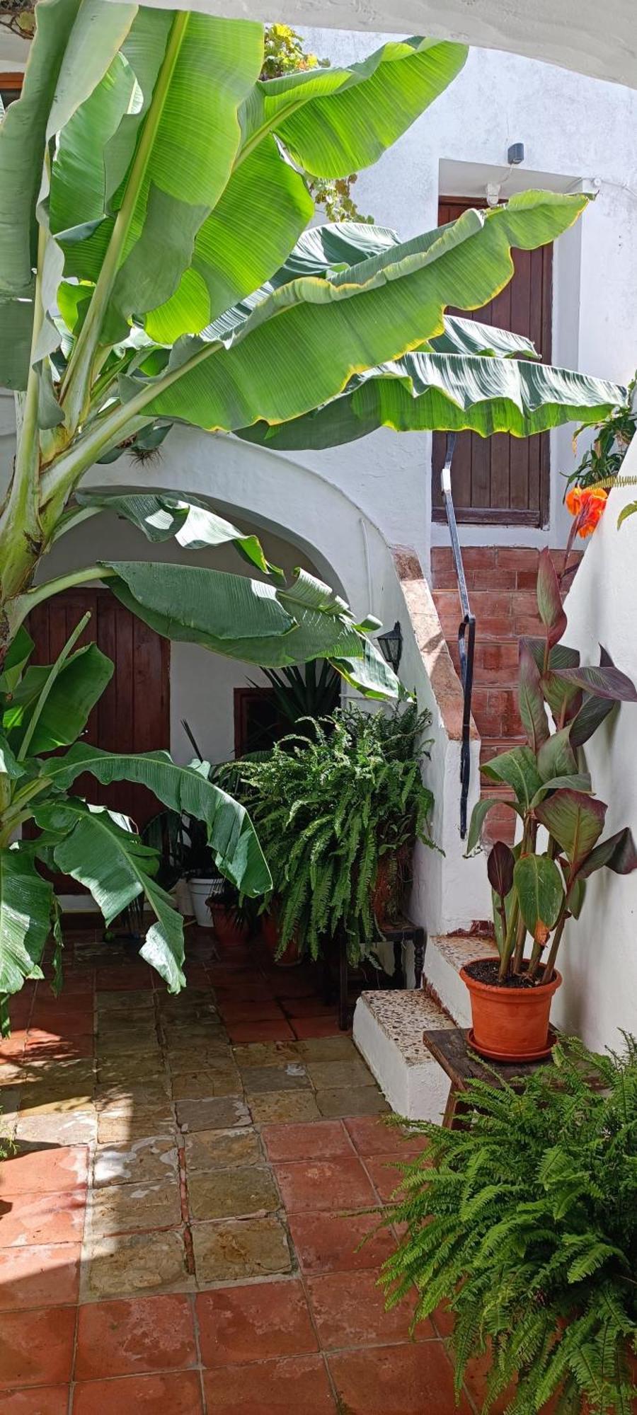 The Best In The Center Of Tarifa Apartment Luaran gambar
