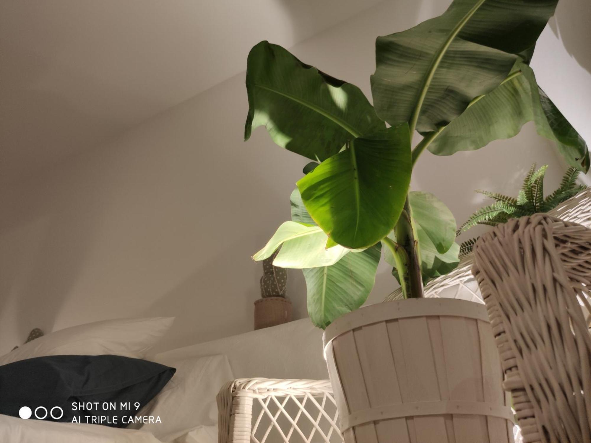 The Best In The Center Of Tarifa Apartment Luaran gambar